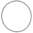 2005 Lincoln LS Fuel Injection Throttle Body Mounting Gasket 1