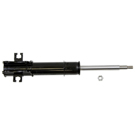 BuyAutoParts 75-20493AN Strut 1