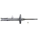 BuyAutoParts 75-20762AN Strut 1