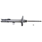 BuyAutoParts 75-20763AN Strut 1