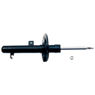 BuyAutoParts 75-20913AN Strut 1