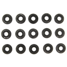 2000 Bmw 528 Engine Valve Cover Grommet Set 1