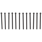 2015 Chevrolet Volt Engine Cylinder Head Bolt Set 1
