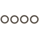 2006 Lexus LS430 Fuel Injector O-Ring Kit 1