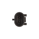 2021 Kia Seltos Knock Sensor 2
