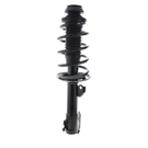 2010 Scion xD Strut and Coil Spring Assembly 1