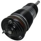 2009 Mercedes Benz CL600 Strut 3