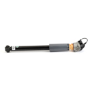 2021 Audi TT RS Quattro Shock Absorber 4
