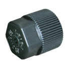 BuyAutoParts  Audi A5 A/C Service Valve Cap AO-60028AN