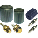 BuyAutoParts  Lincoln Zephyr A/C System Valve Core and Cap Kit AQ-B0025AN