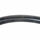 BuyAutoParts 13-20010AN Door Seals 2