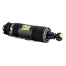 Arnott Industries SK-2419 Shock Absorber 1