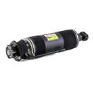 Arnott Industries SK-2419 Shock Absorber 2