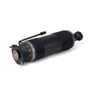 Arnott Industries SK-2473 Shock Absorber 2