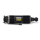 Arnott Industries SK-2473 Shock Absorber 4
