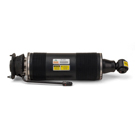 Arnott Industries SK-2485 Shock Absorber 3