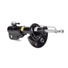 Arnott Industries SK-2952 Strut 1