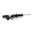 Arnott Industries SK-5084 Strut 3