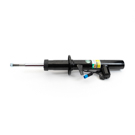 Arnott Industries SK-5085 Strut 3