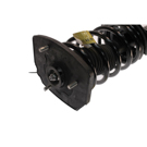 2000 Ford Escort Strut and Coil Spring Assembly 5
