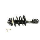 2000 Lexus ES300 Strut and Coil Spring Assembly 5