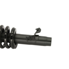 1991 Honda Accord Strut and Coil Spring Assembly 1