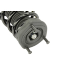 2003 Toyota Camry Strut and Coil Spring Assembly 3