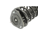 2000 Toyota Corolla Strut and Coil Spring Assembly 4