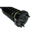 2007 Honda Accord Strut and Coil Spring Assembly 3