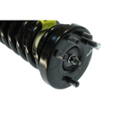 2007 Honda Accord Strut and Coil Spring Assembly 3