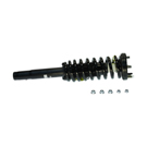 2003 Honda Accord Strut and Coil Spring Assembly 1