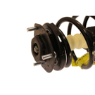 2003 Toyota Camry Strut and Coil Spring Assembly 2