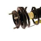 2003 Toyota RAV4 Strut and Coil Spring Assembly 2
