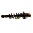 2004 Toyota Corolla Strut and Coil Spring Assembly 1