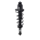 2014 Toyota Corolla Strut and Coil Spring Assembly 4