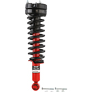 2017 Ford F Series Trucks Strut and Coil Spring Assembly 1