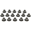 2000 Lincoln Continental Engine Valve Stem Oil Seal Set 1