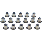 2021 Jeep Compass Engine Valve Stem Oil Seal Set 1