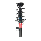 2017 Ford Focus Strut and Coil Spring Assembly 2