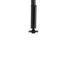 1981 Pontiac Firebird Shock Absorber 4