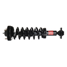 2017 Ford F Series Trucks Strut and Coil Spring Assembly 2