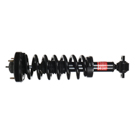 2017 Ford F Series Trucks Strut and Coil Spring Assembly 1