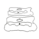 2012 Bmw 750Li Engine Valve Cover Gasket Set 4