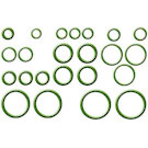BuyAutoParts 60-90044 A/C Oil O-Ring or Solvent 1