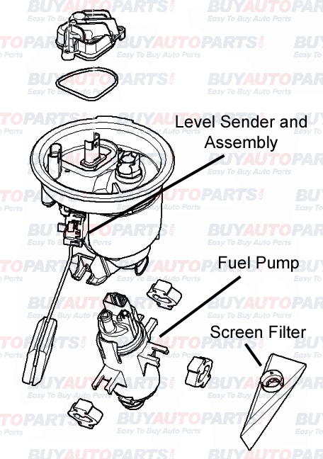 Fuel Filter Diagram  Car Anatomy in Diagram