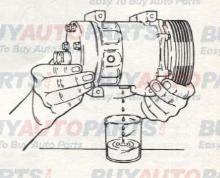 Sanden Oil Change 1